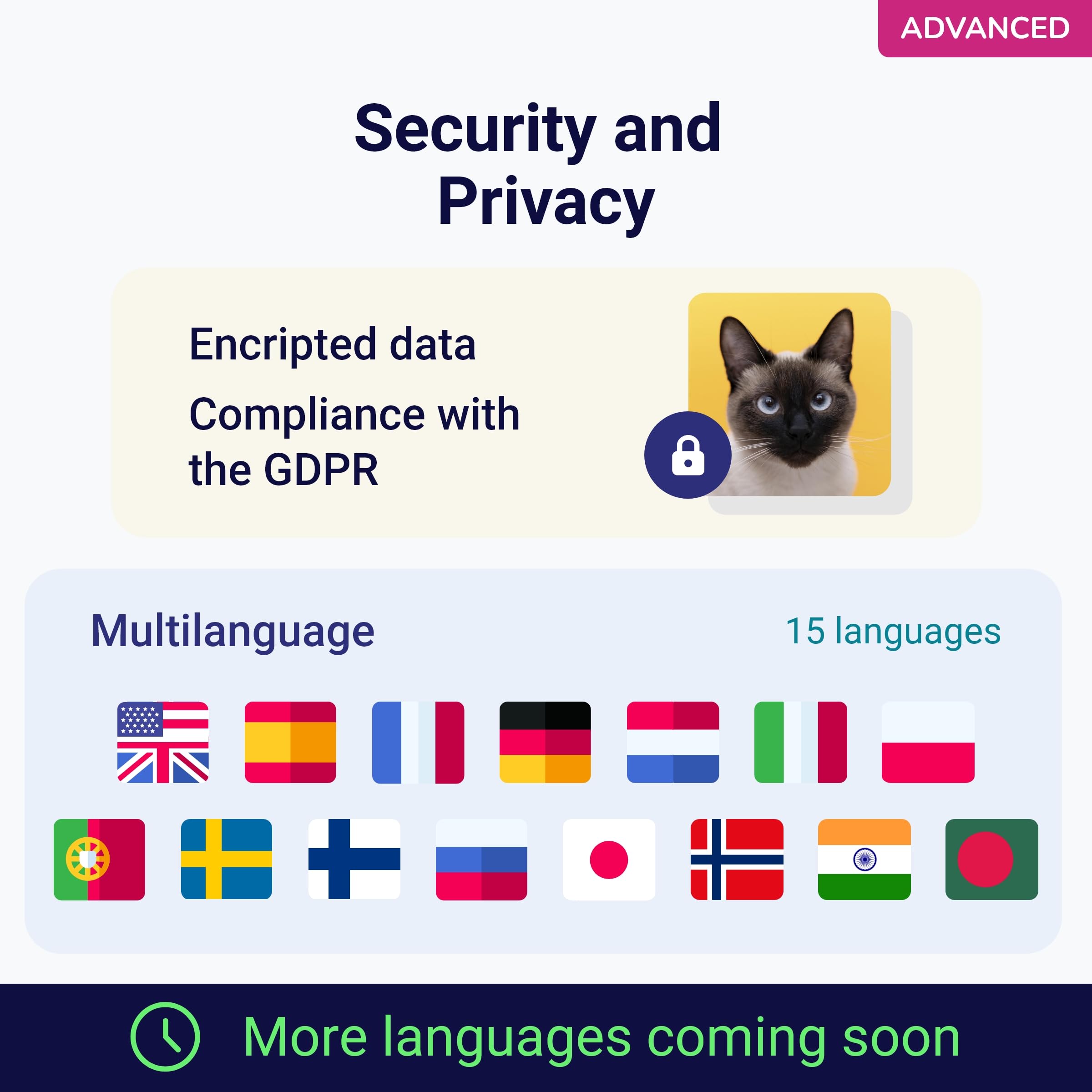Koko Genetics interface résultats chat simple et clair