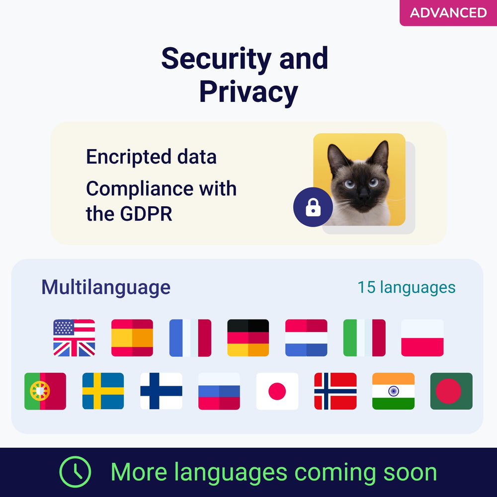 Koko Genetics interface résultats chat simple et clair