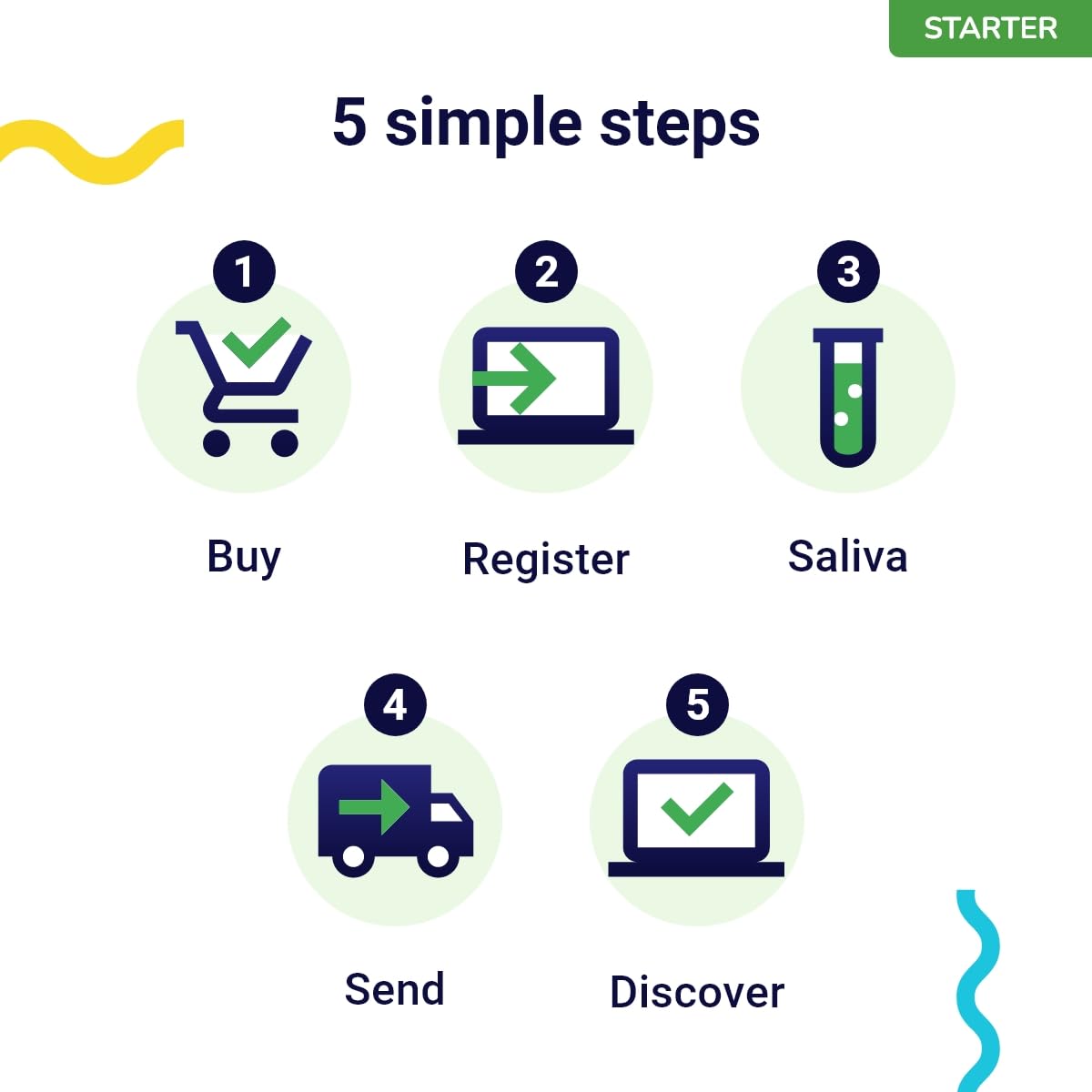 Koko Genetics prélèvement salivaire chat — procédure simple à réaliser chez soi.