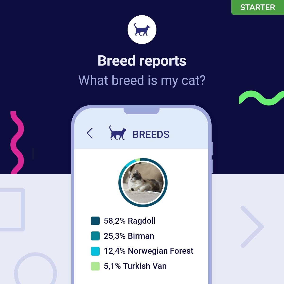 Koko Genetics résultats faciles — interface claire pour visualiser les résultats d'ADN.