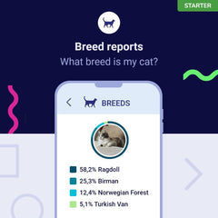 Koko Genetics résultats faciles — interface claire pour visualiser les résultats d'ADN.