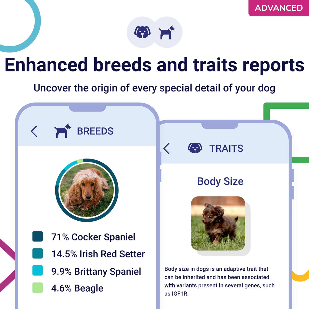 Koko Genetics tellmeGen: rapports santé et traits potentiels à explorer.