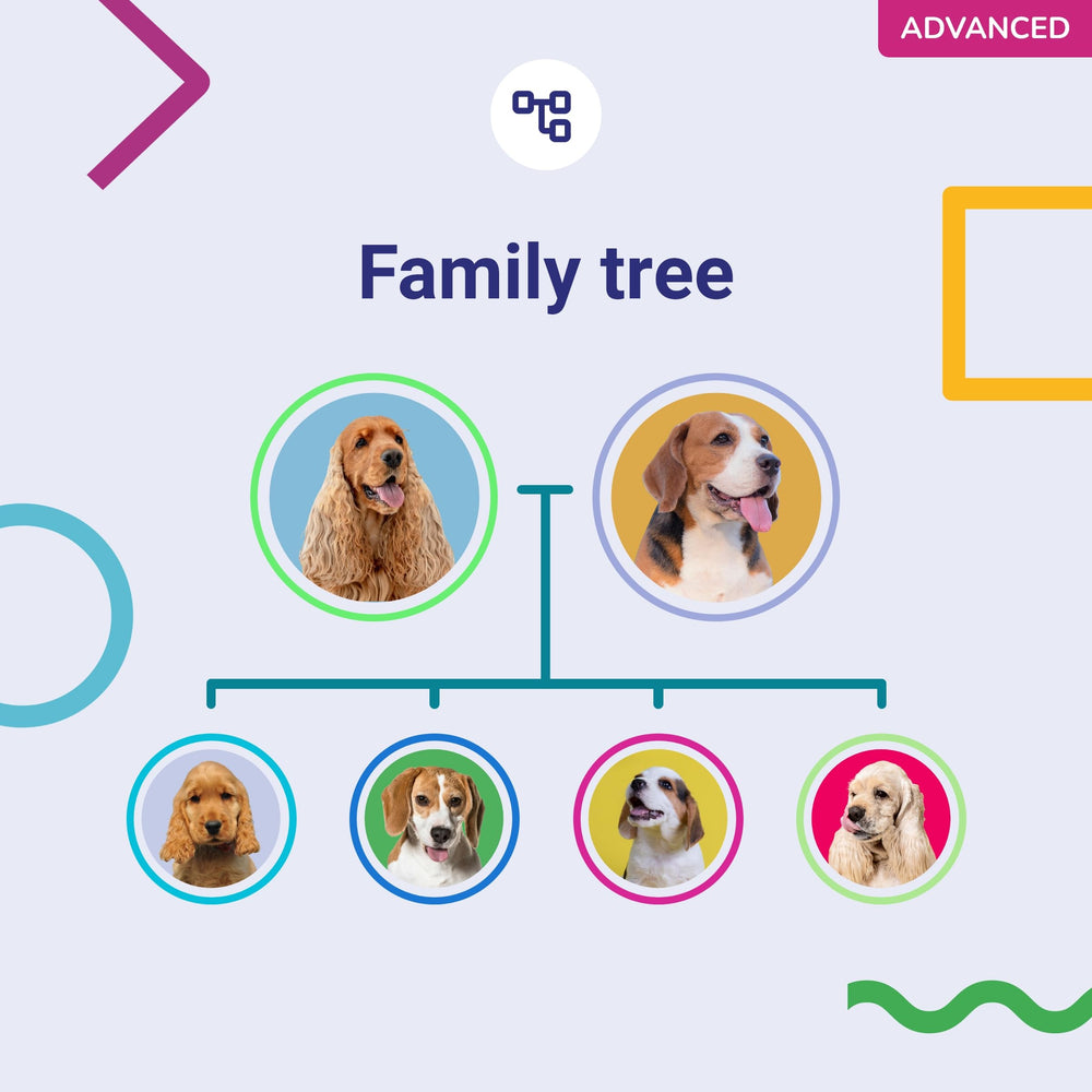 Koko Genetics tellmeGen: mises à jour ADN Connect et découvertes continues.