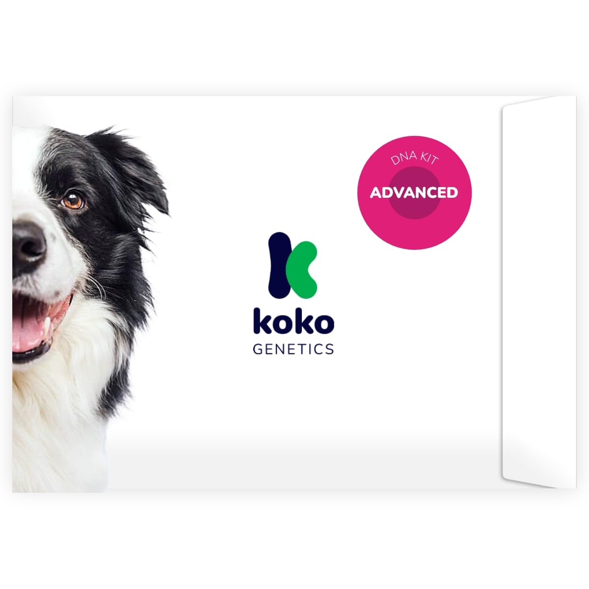 Koko Genetics tellmeGen: kit ADN chien pour démarrer l’analyse génétique.