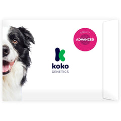 Koko Genetics tellmeGen: kit ADN chien pour démarrer l’analyse génétique.