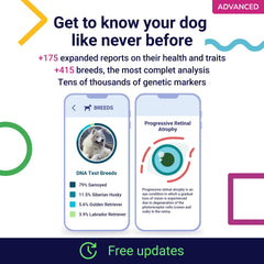 Koko Genetics tellmeGen: résultats détaillés des races et traits du chien.