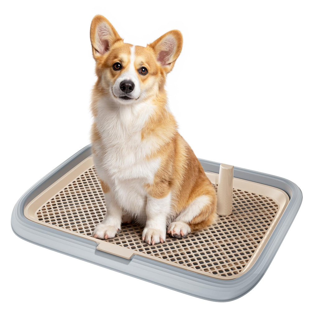 KOLA PANDA bac-toilette-chien grand-area pour espace d'entraînement spacieux