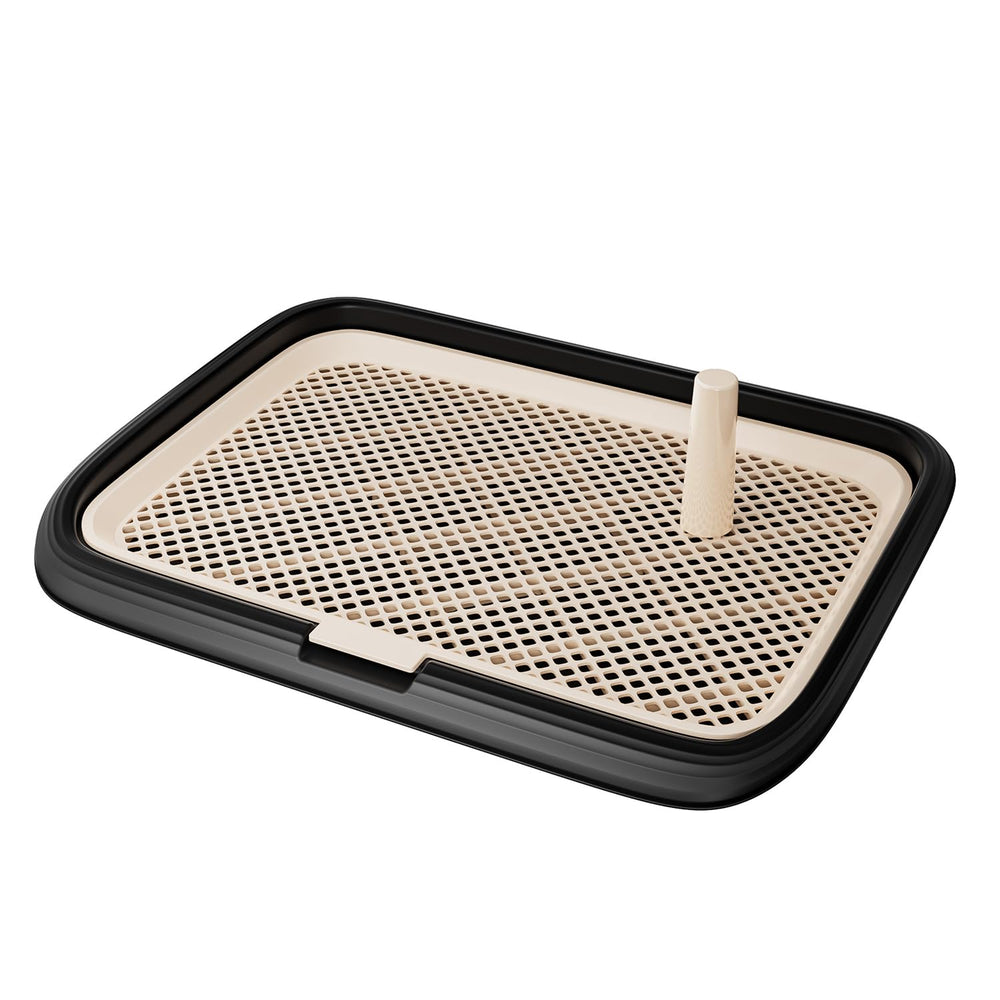 Kola Panda plateau entrainement chien grand espace confortable
