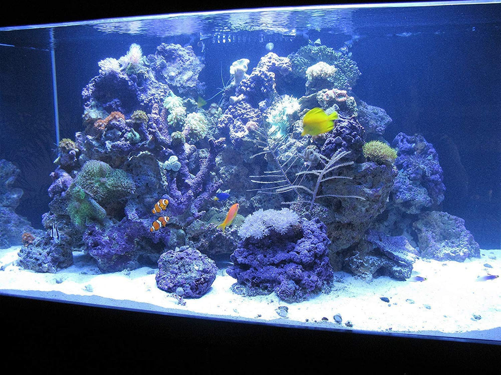 Média Bayoxide E33 prêt pour les configurations de filtration variées