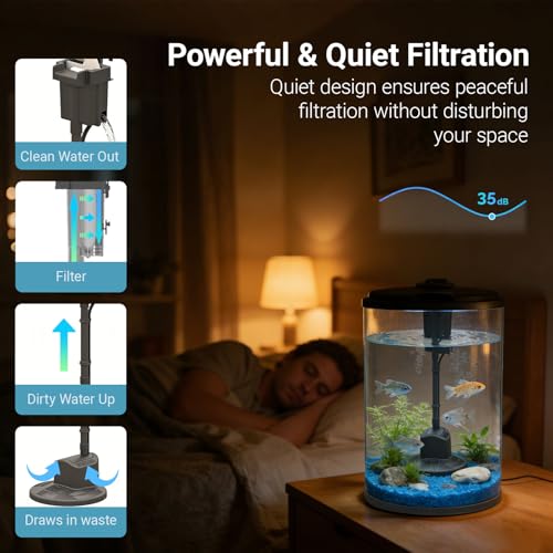 Koller Products Aquarium 360 boîtier transparent offre une clarté remarquable