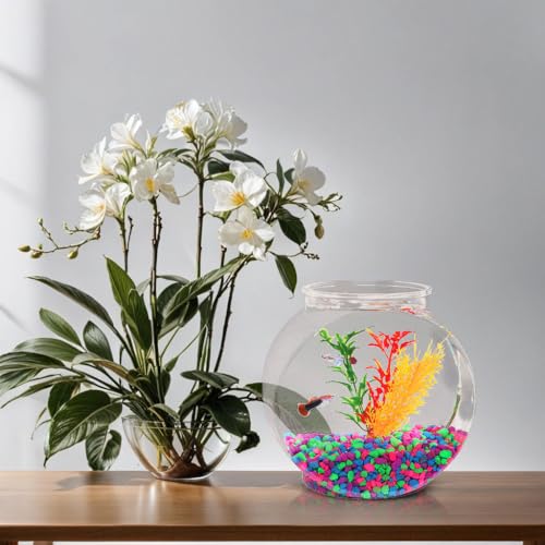 Bol poisson Koller 1 gal arrière, démontrant sa solidité et son usage décoratif.