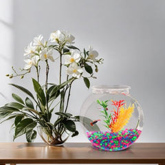Bol poisson Koller 1 gal arrière, démontrant sa solidité et son usage décoratif.