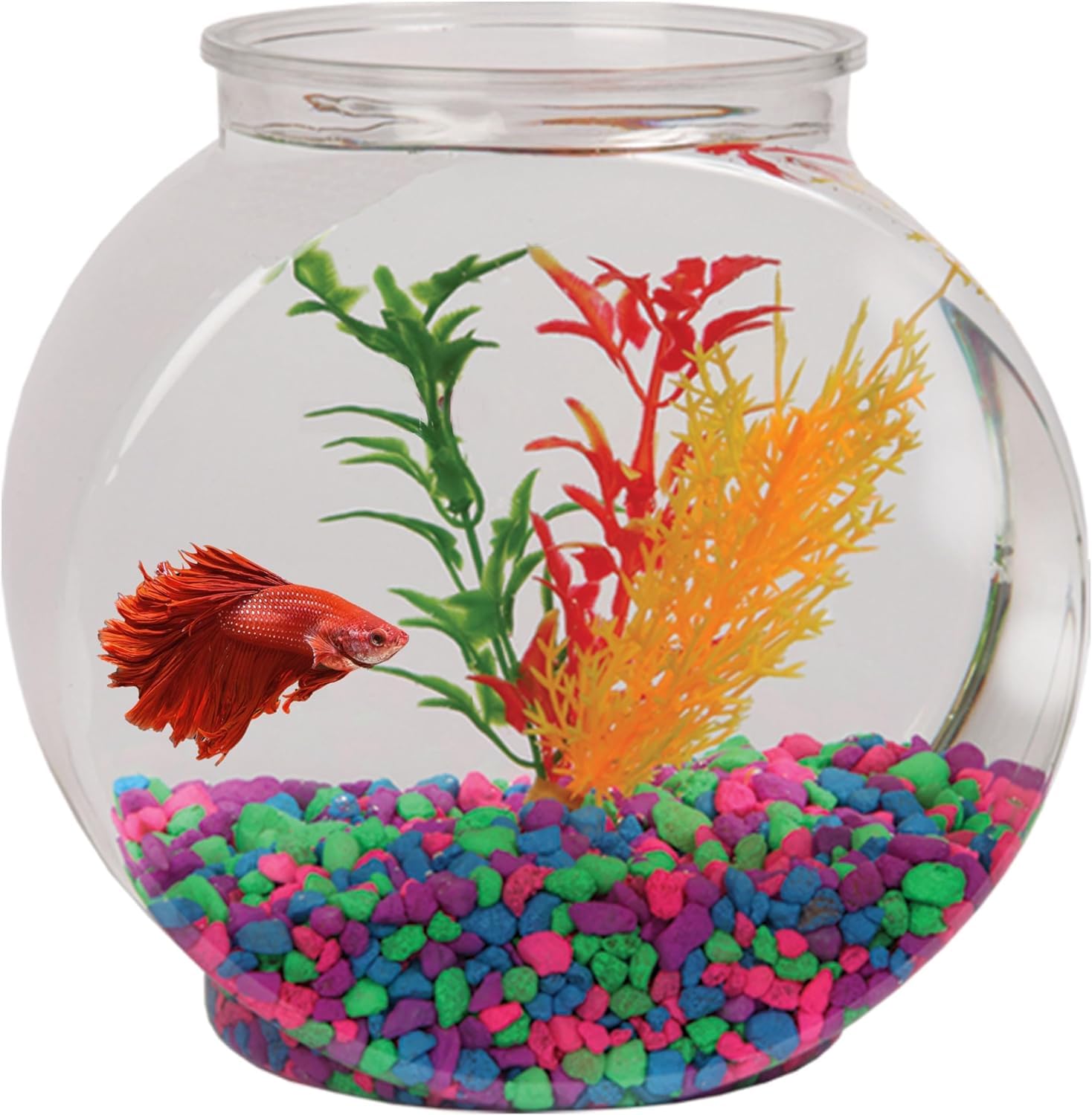 Bol poisson Koller 1 gal avant, élégant et durable pour centre de table.