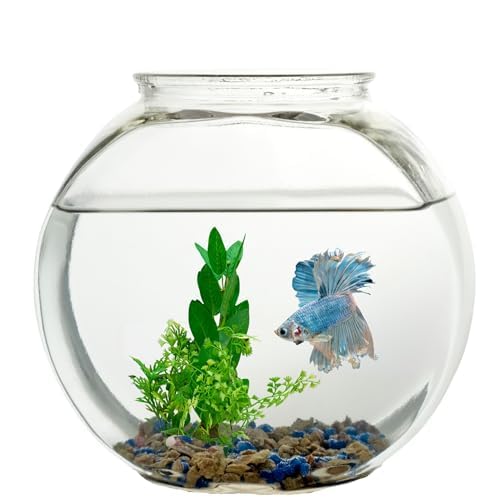 Bol poisson Koller 1 gal fleurs-soie, décor polyvalent et durable.