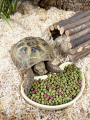 Tableau de valeurs nutritionnelles Komodo Diet Tortue Fruits et Fleurs 680 g