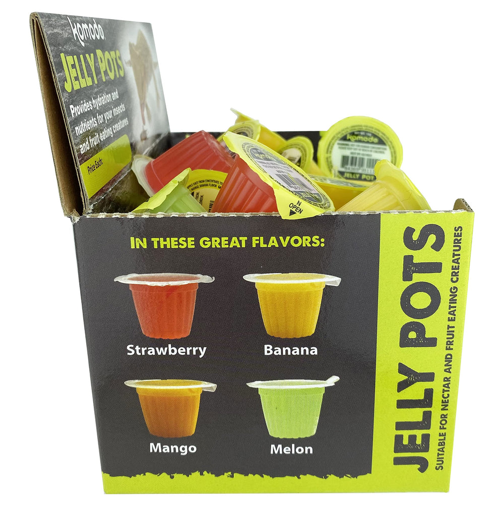 Komodo Jelly Pots saveur fraise, arôme fruité apprécié par les insectes.
