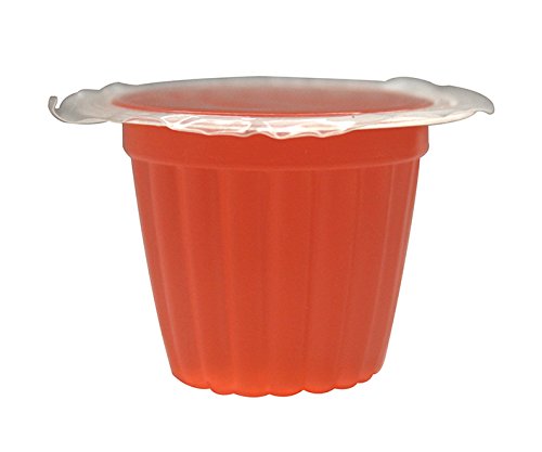 Komodo Jelly Pots saveur melon, douceur fruitée en enclos.