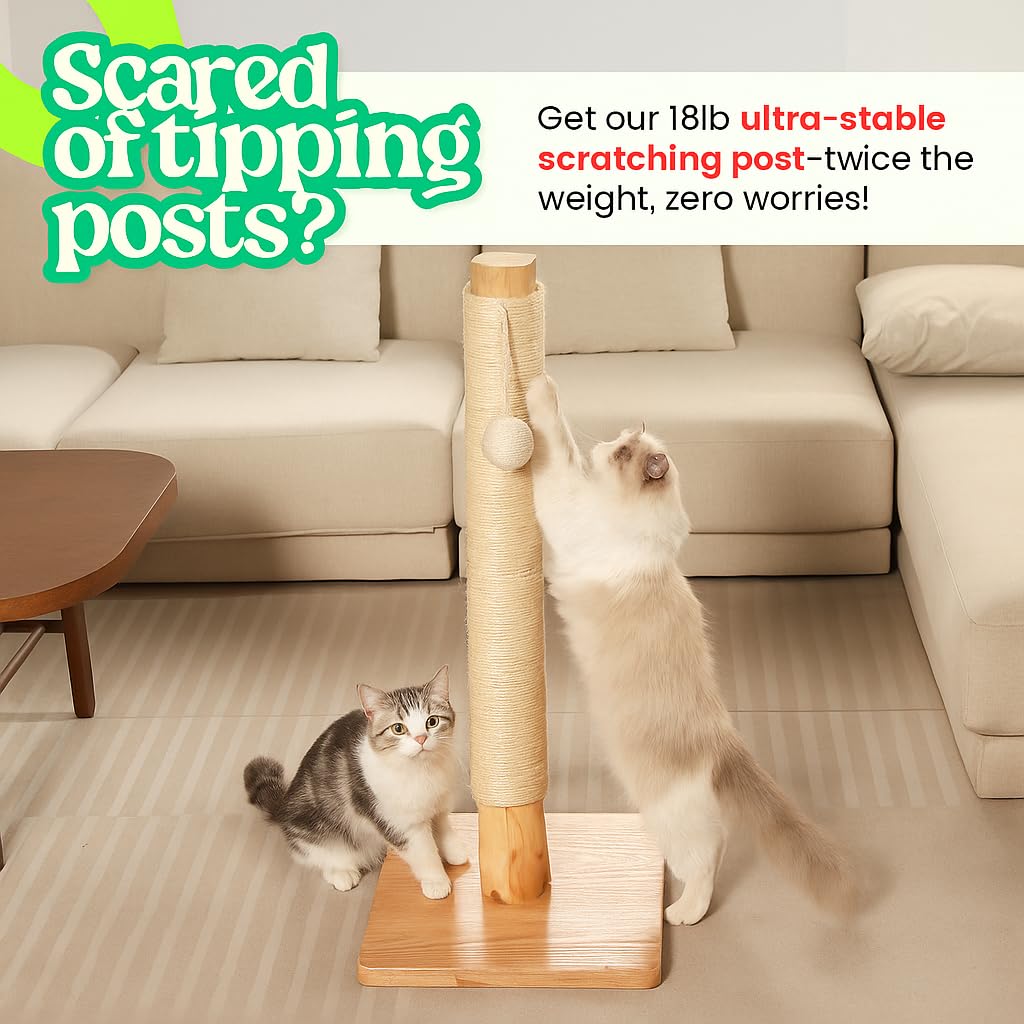 KONELCARE hauteur 35 pouces, parfait pour grands chats et étirements.