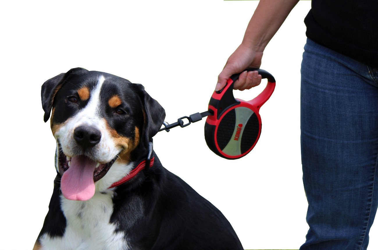 KONG Alcott, utilisation quotidienne adaptée aux chiens de grande taille