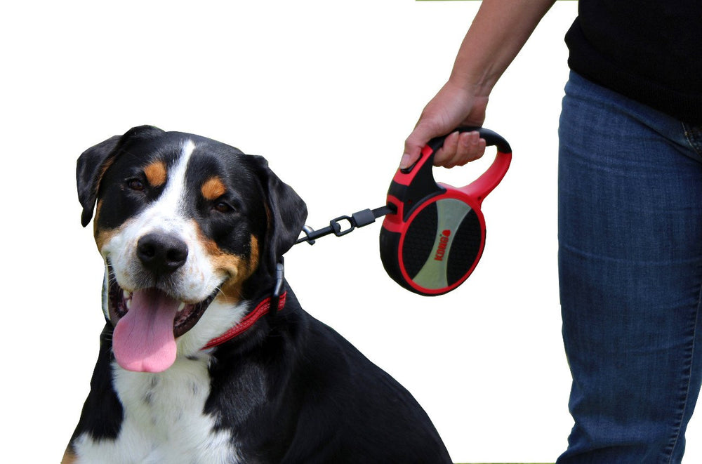 KONG Alcott, utilisation quotidienne adaptée aux chiens de grande taille