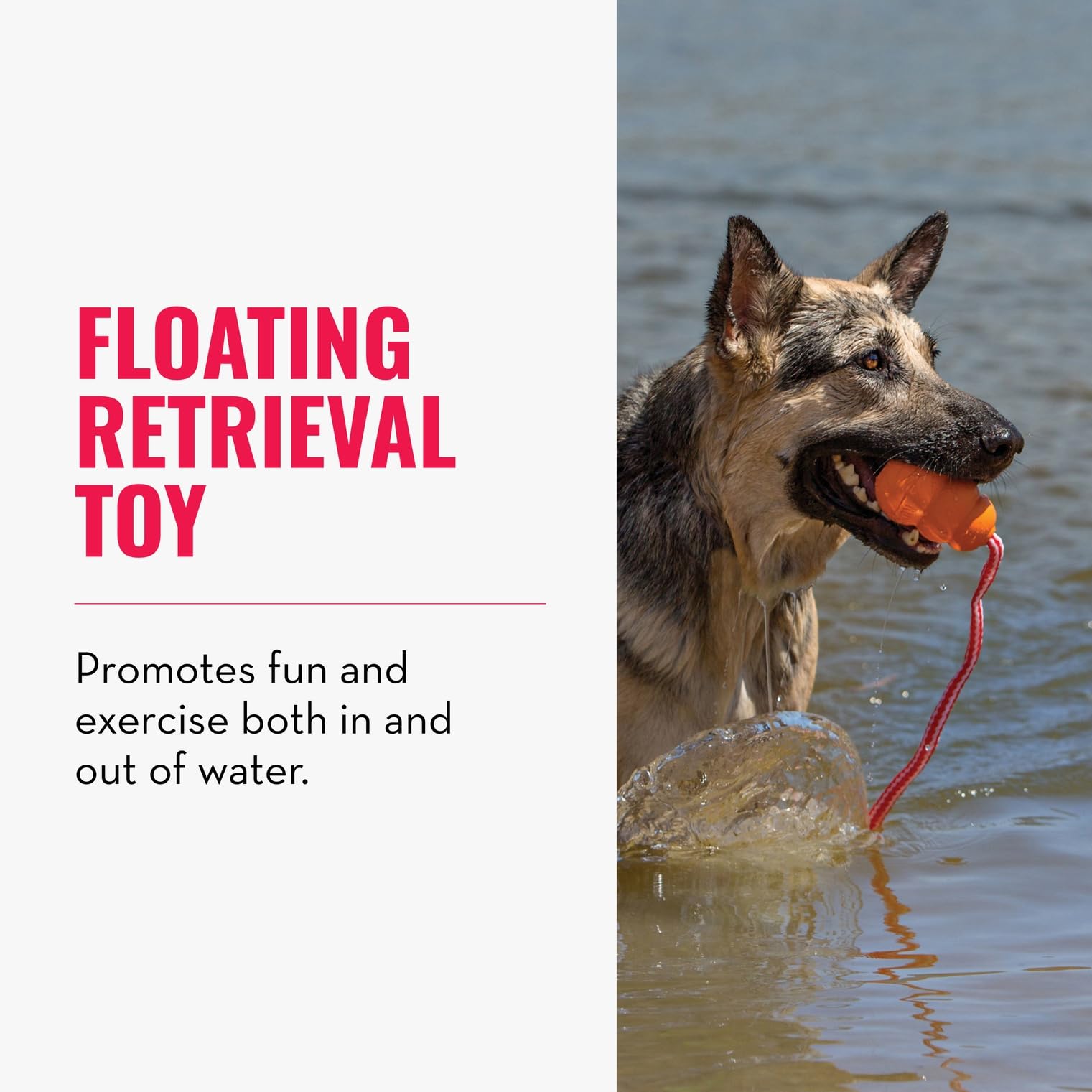 KONG Aqua en caoutchouc naturel, matériau résistant pour chiens actifs