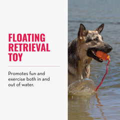KONG Aqua - interieur-mousse: flottabilité fiable pour moments aquatiques.