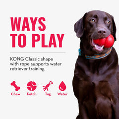 KONG Aqua - couleur-neon: visibilité maximale à la surface.