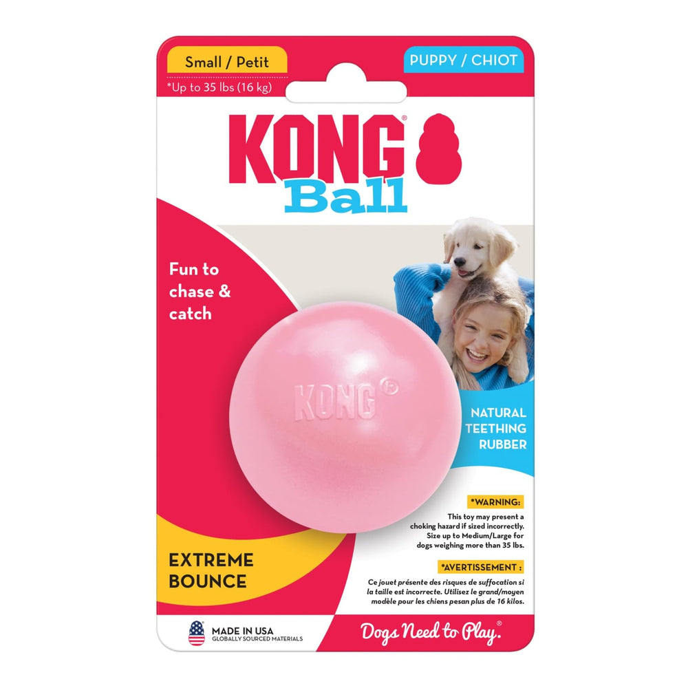 Balle Kong colorée, idéale pour chiots actifs