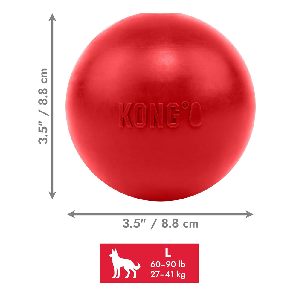 Balle Kong pour entraînement et jeu interactif en plein air.