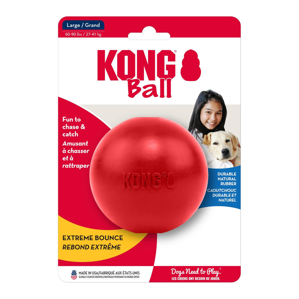 Balle Kong utilisée lors de sessions intenses et répétitives.