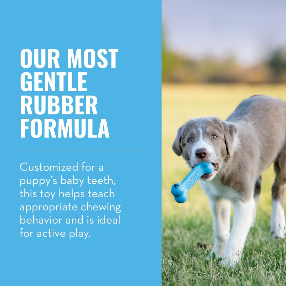 KONG Puppy Goodie Bone bleu: caoutchouc naturel pour morsure douce.