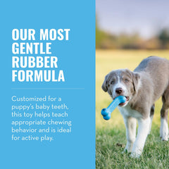 KONG Puppy Goodie Bone bleu: caoutchouc naturel pour morsure douce.