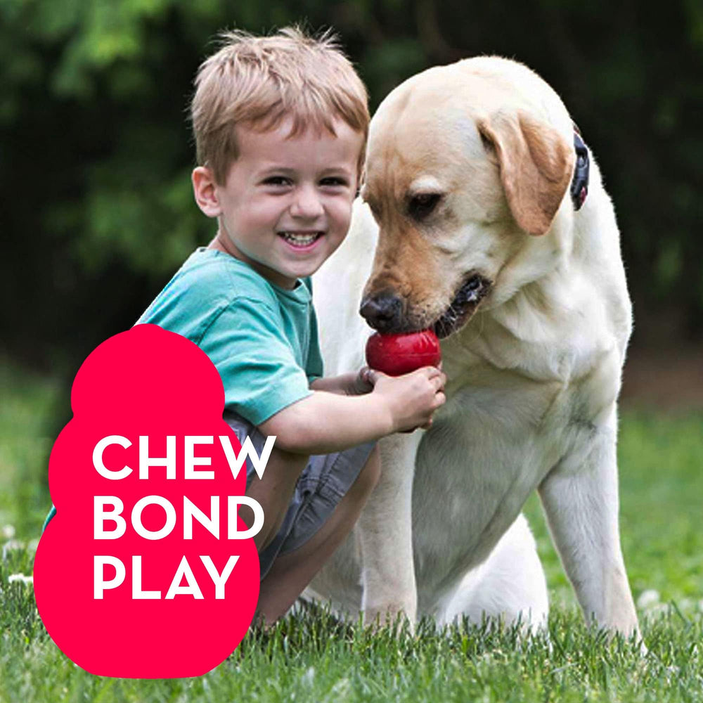 Idéal pour chiens moyens, sessions quotidiennes et enrichissement.
