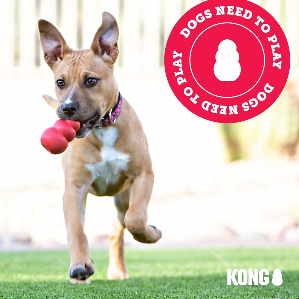 KONG Classic idéal pour utilisation en plein air et jeux de terrain.