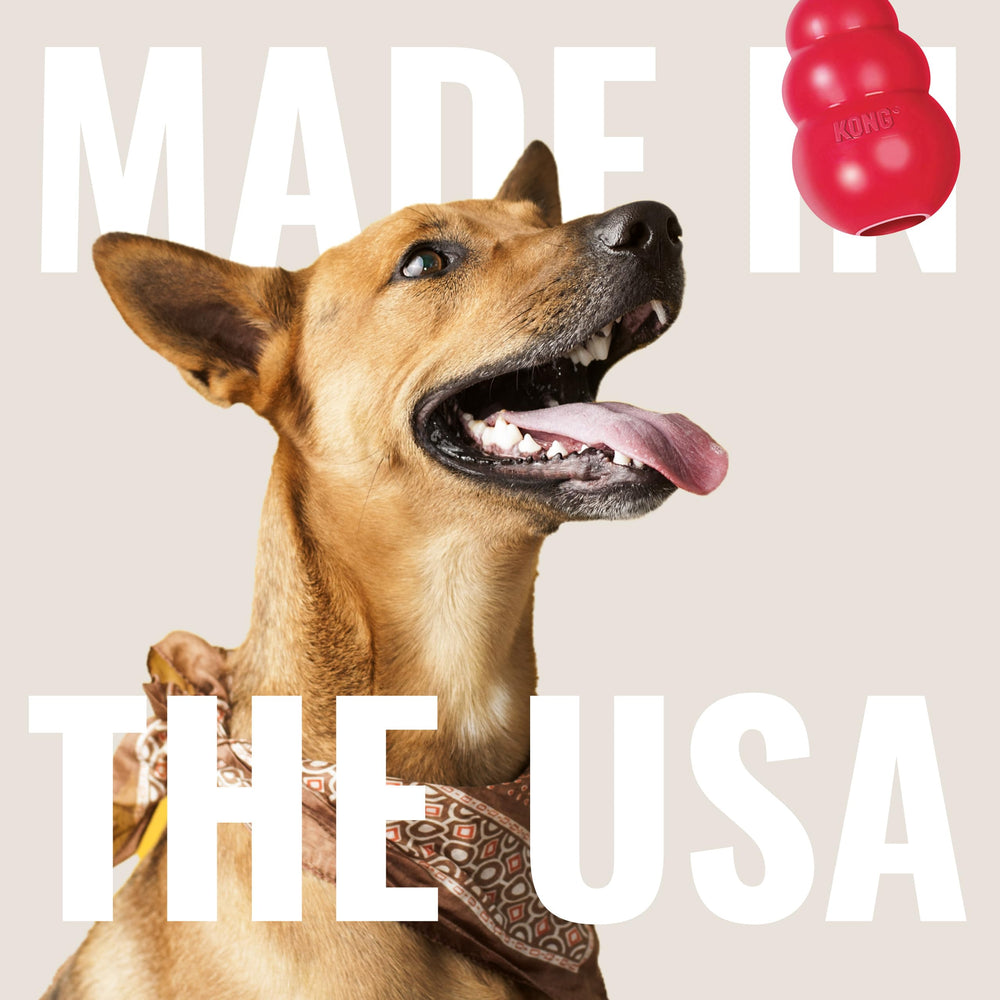 KONG Classic: parfait pour la dentition et le divertissement des petits chiens.