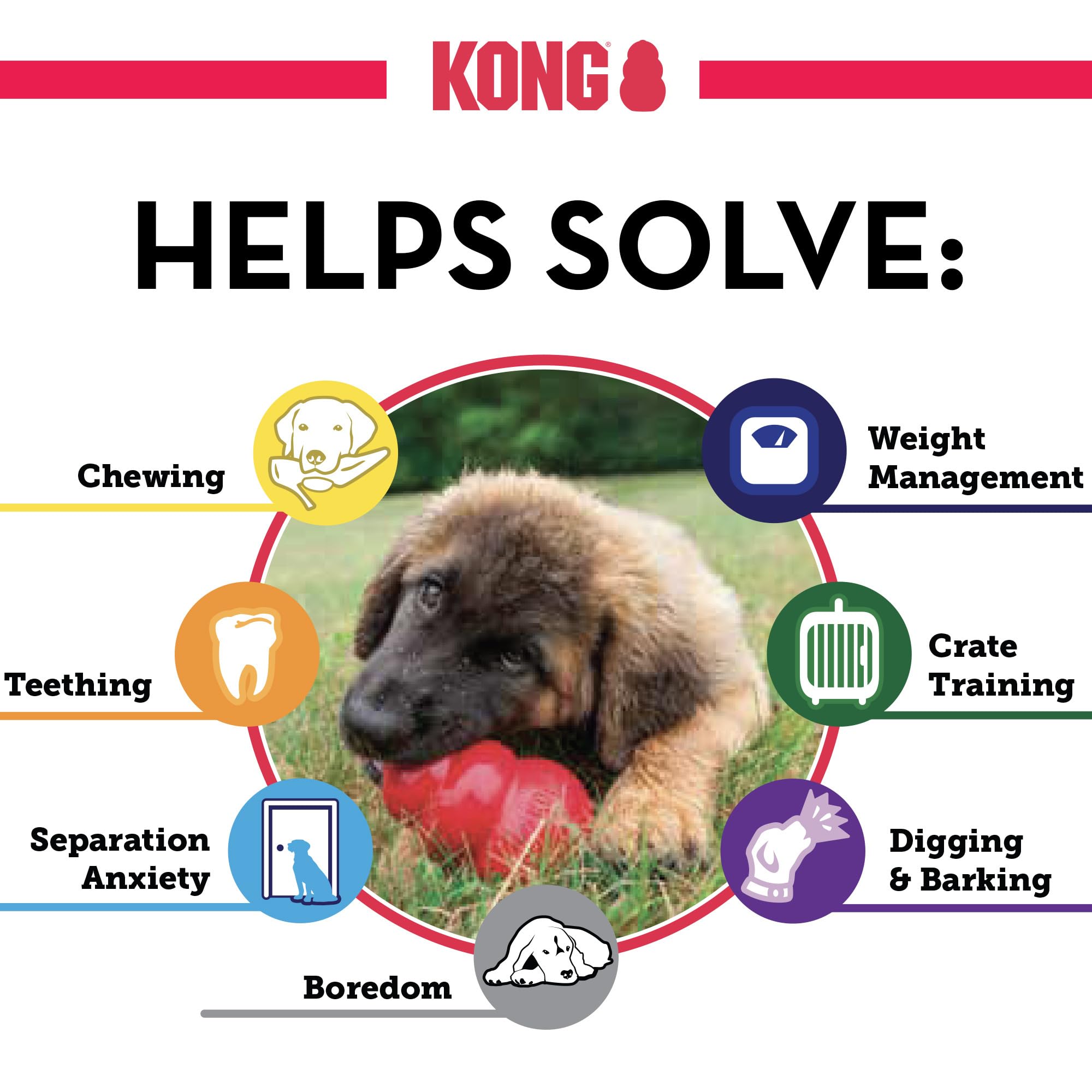 KONG Classic mastication-durable: idéal pour grandes races à mâchoire puissante.