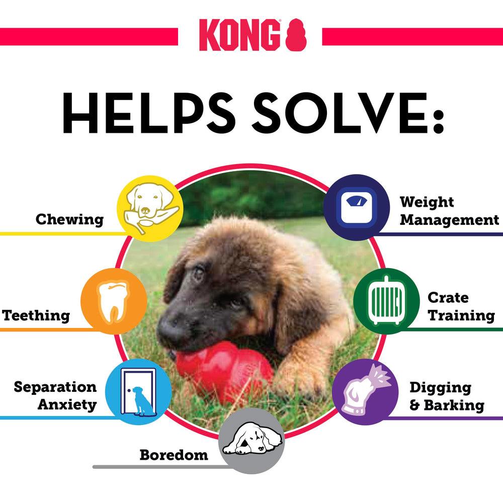 KONG Classic mastication-durable: idéal pour grandes races à mâchoire puissante.