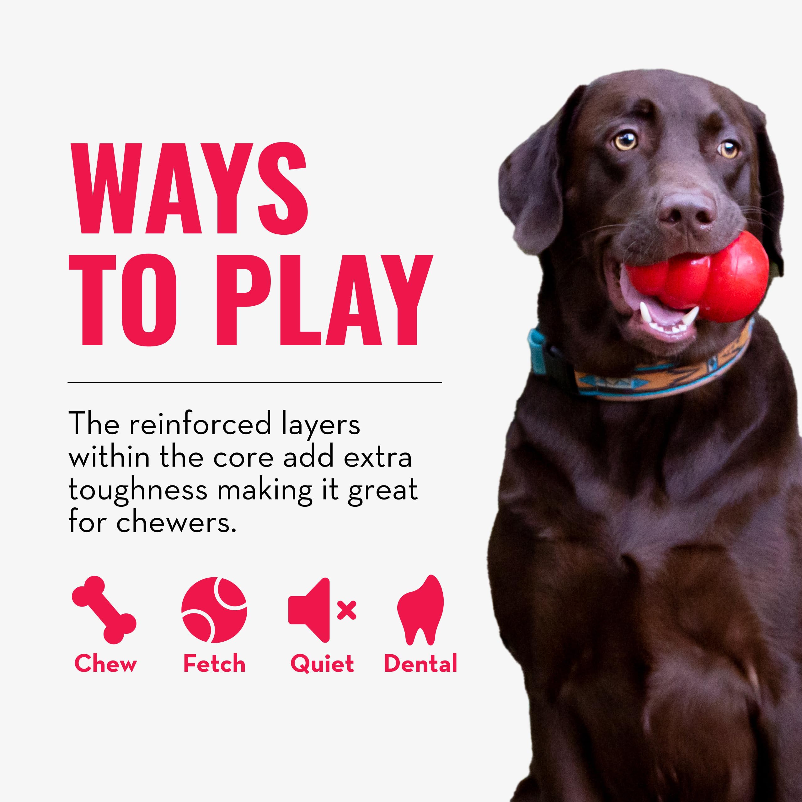 KONG CoreStrength: enrichissement mordant pour chien lors de jeux et récompenses.