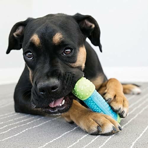 KONG CoreStrength jouet dentition independant, parfait pour amusements solitaires du chien.