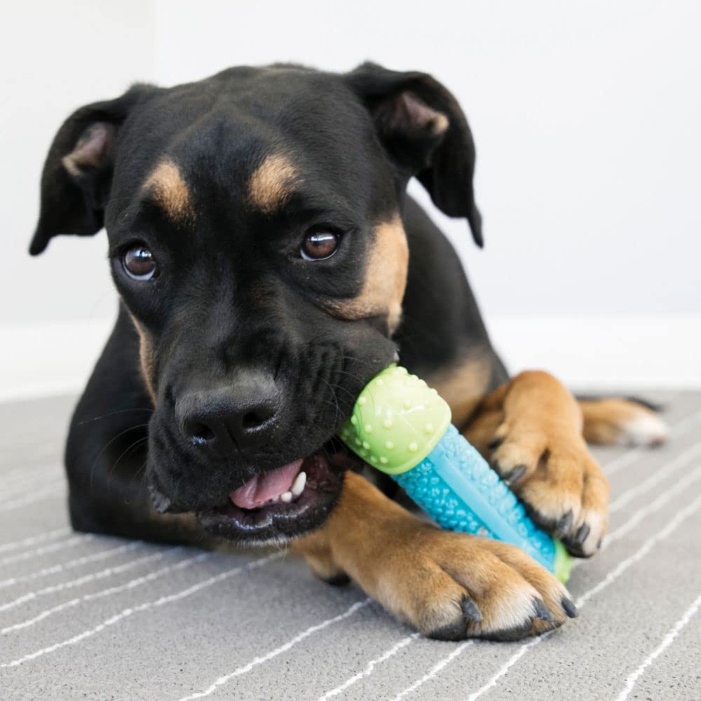 KONG CoreStrength Bone, vue jeu interactif, stimulation mentale et ludique.