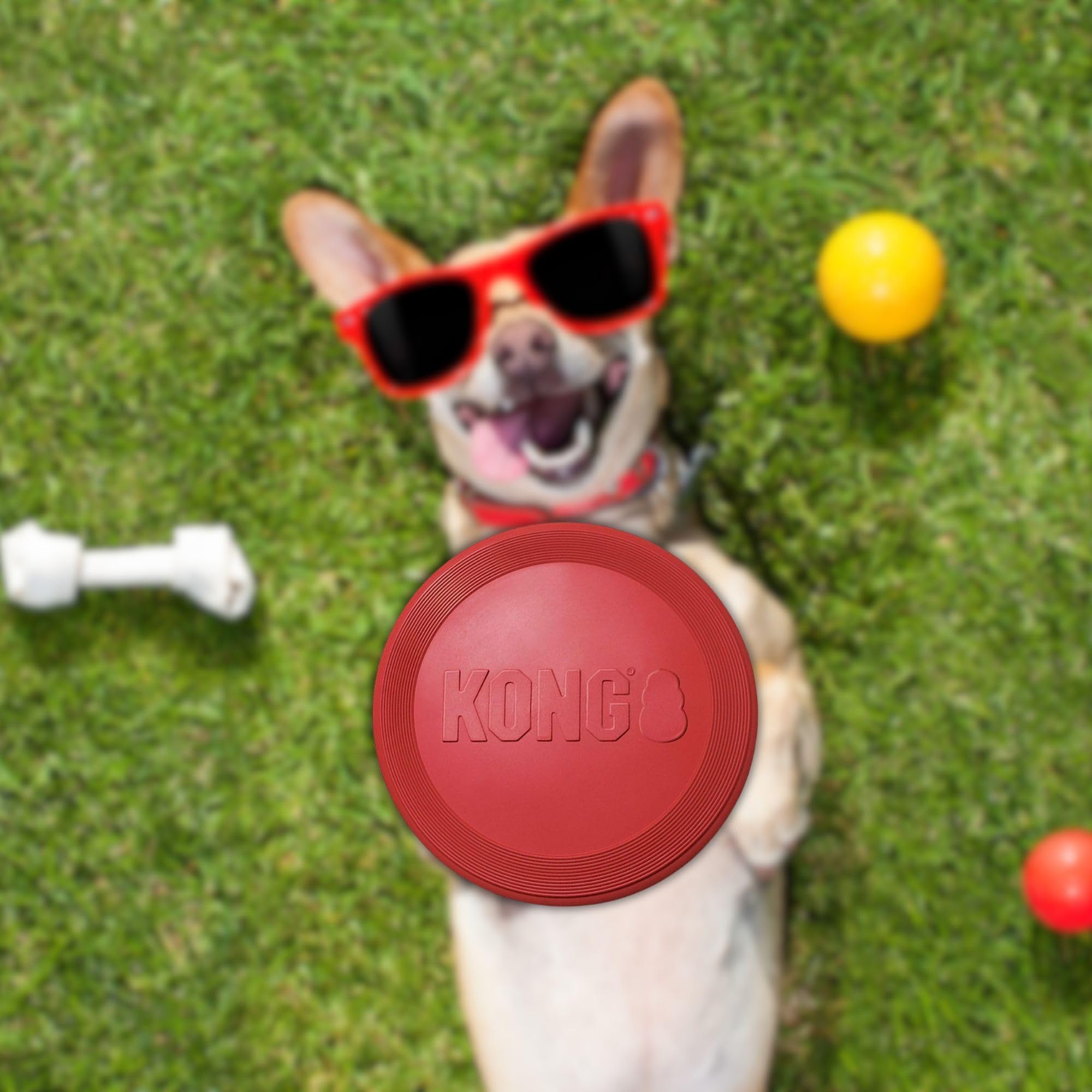 KONG disque caoutchouc rouge idéal pour renforcer le lien pendant le jeu