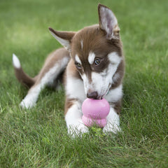 KONG Easy Treat Chiot, pâte facile à dispenser sans dégâts