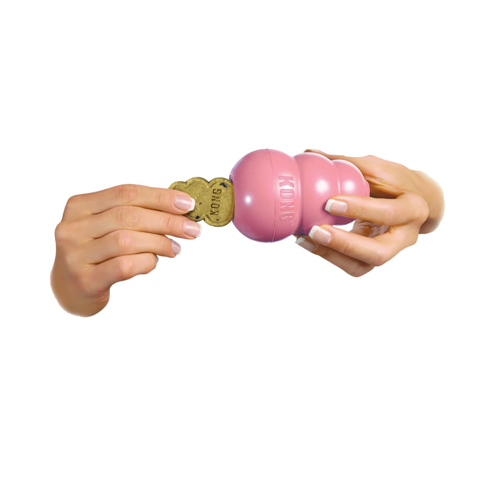 Garnissage facile avec KONG Easy Treat dans le jouet.