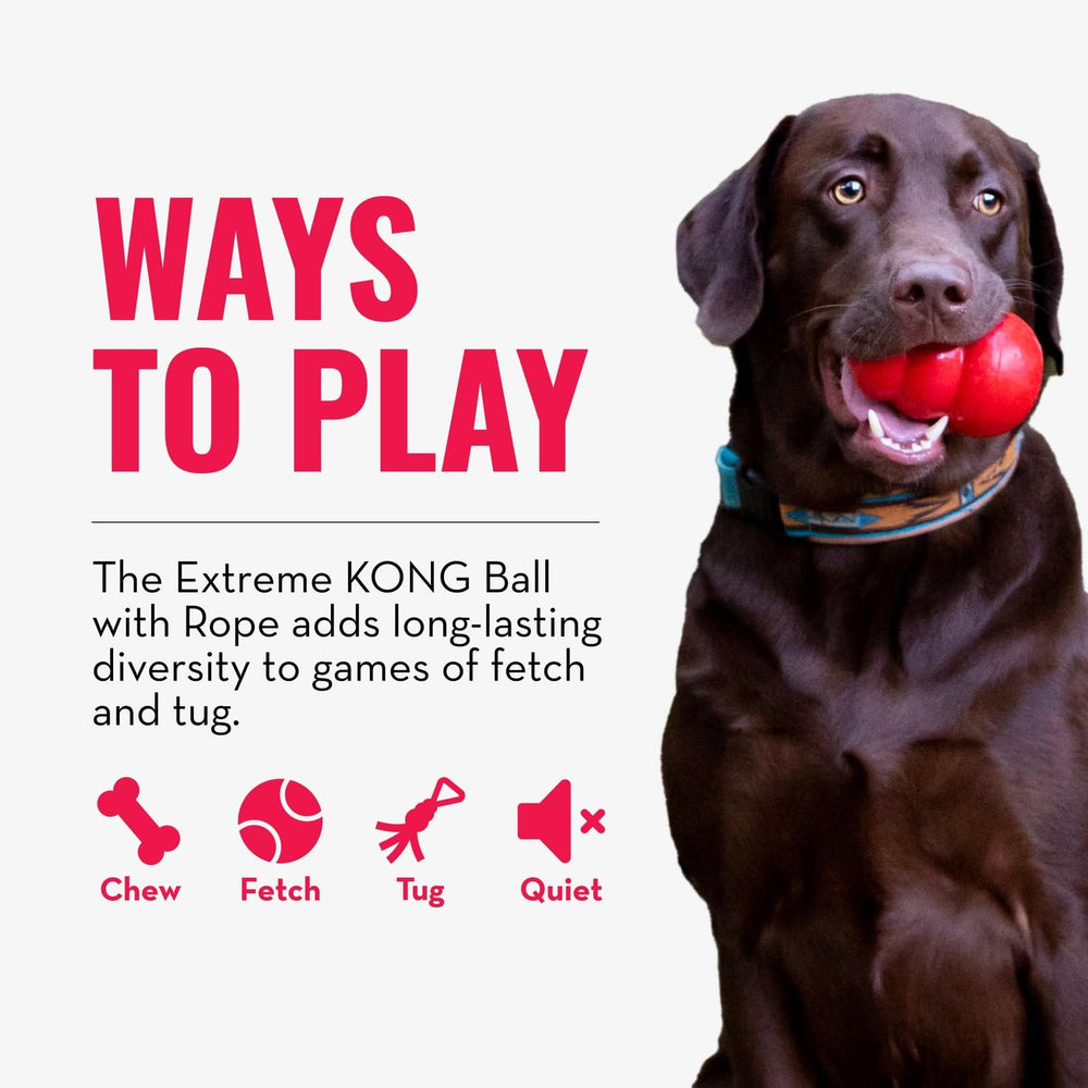 KONG Extreme balle avec corde résistance aux perforations pour jeu sûr.