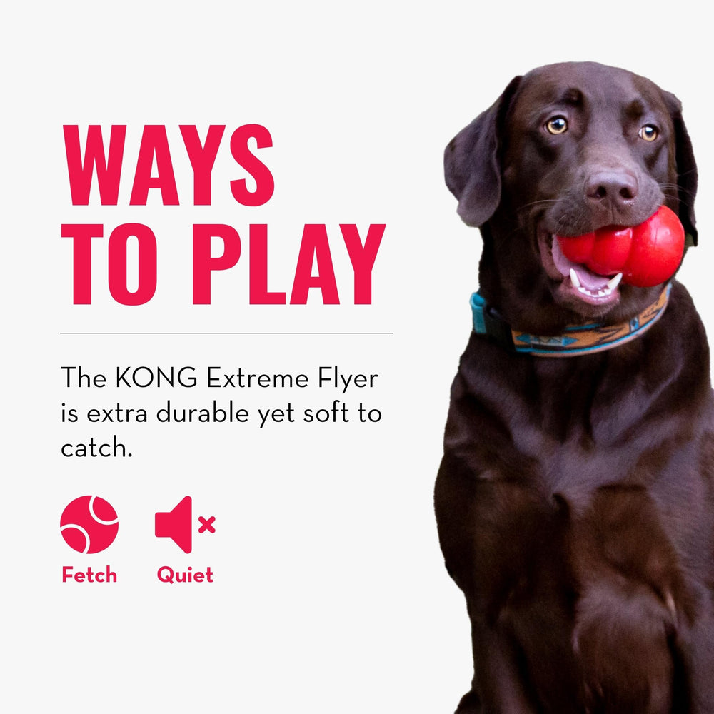 KONG Extreme disque: résistance et longévité pour les jeux quotidiens.