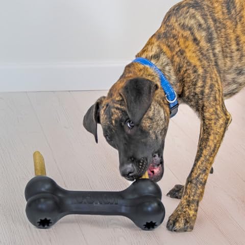 KONG Extreme Goodie Bone — vue arrière noir, design robuste pour mâchoires fortes.
