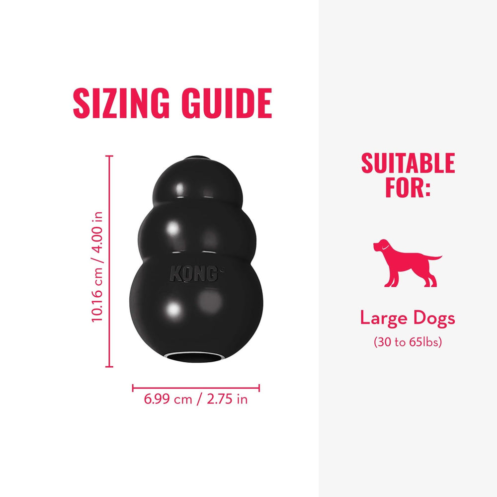 Kong Extreme offre un rebond imprévisible pour capter l’attention du chien.