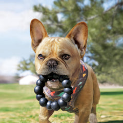 KONG Extreme Ring: jouet robuste qui divertit les chiens XL lors des sessions de jeu