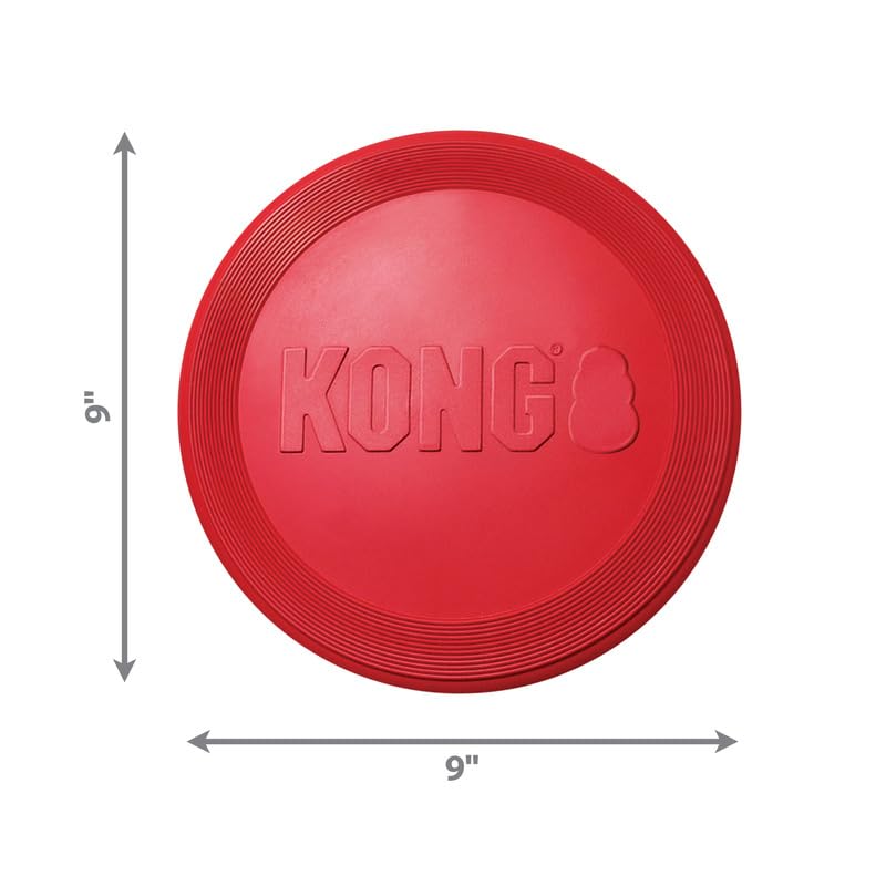 KONG Flyer en action dans le jardin, encourage l'exercice et le jeu.