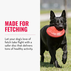 KONG Flyer, ideal-pour-exercice-chien-petit: stimule mouvement et poursuite
